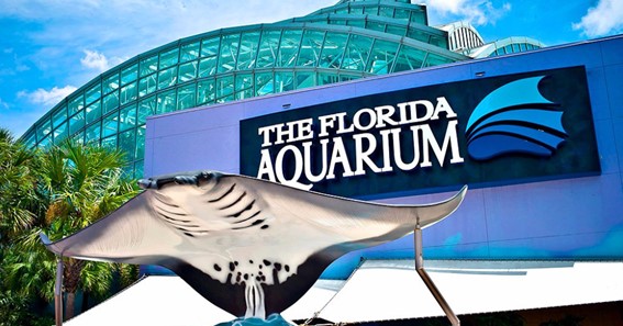Florida Aquarium, Tampa