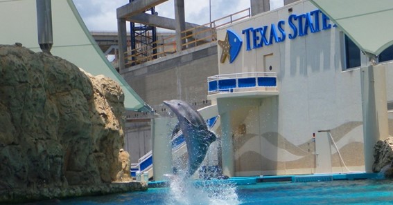 Texas State Aquarium, Corpus Christi