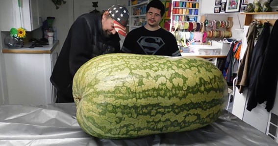 5 Largest Watermelon